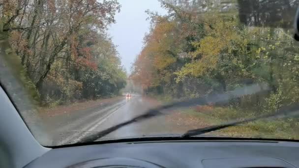 Cam Sileceği Yağmurlu Sisli Bir Yol Sonbaharda Vrosina Köyünde Ioannina — Stok video