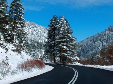 travel in winter snow ice asphalt firs in sunny cold day ,grevena perfecture,  greece