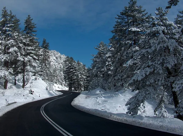 Travel Winter Snow Ice Asphalt Firs Sunny Cold Day Grevena — Foto Stock