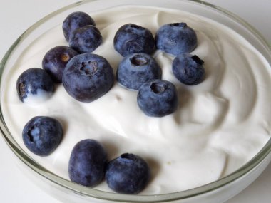 blueberries yougurt in a bowl isolateted healthy food space for your text
