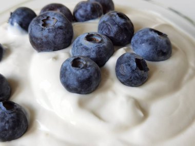 blueberries yougurt in a bowl isolateted healthy food space for your text