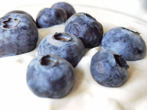 Blueberries Yougurt Bowl Isolateted Healthy Food Space Your Text — Stock fotografie