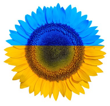 Ukrayna bayrağı Rusya 'ya karşı. Geçmiş için dua et.