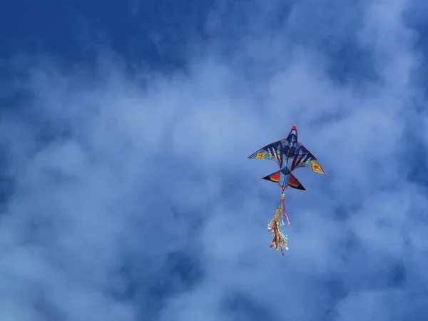 Drachen Himmel Zwischen Wolken Meer Grünen Montag Nach Dem Karneval — Stockfoto