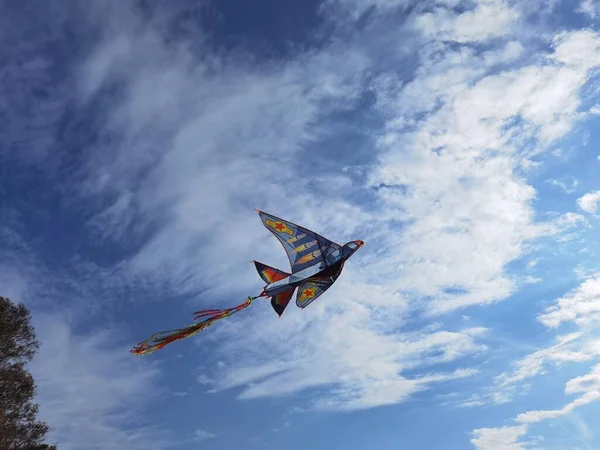 Cerf Volant Sur Ciel Parmi Les Nuages Bord Mer Vert — Photo