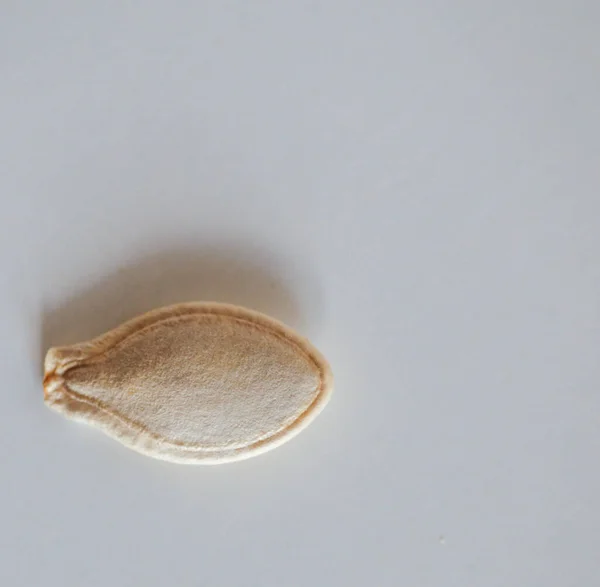 Beyaz Arkaplan Görünümünde Izole Edilmiş Balkabağı Tohumu — Stok fotoğraf