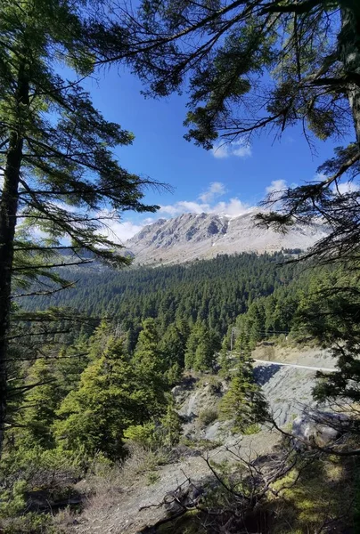 Tzoumerka Гор Весенний Сезон Искусстве Перфектуры Греции Рядом Vourgareli Viillage — стоковое фото