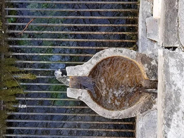 Vourgarelii Dorf Arta Perfektion Griechenland Der Wintersaison Fauna Wasserhahn Traditionell — Stockfoto