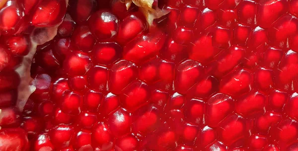 Pomegranate Fruit Seeds Whole Sliice Isolated Background — Stock Photo, Image