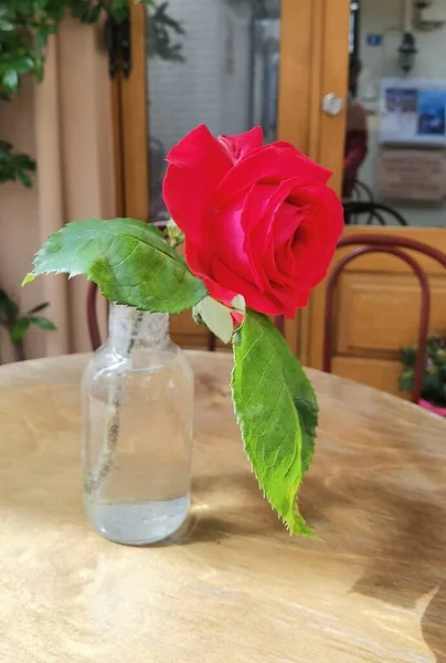 Flores Rosas Vermelhas Nas Mesas Vasos Preveza Cidade Becos Greece — Fotografia de Stock