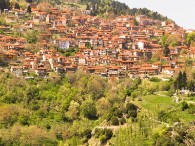 Metsovo City Turizm Dağı Kuzey Batı Yunanistan 'da bahar mevsiminde