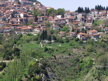 Metsovo City Turizm Dağı Kuzey Batı Yunanistan 'da bahar mevsiminde