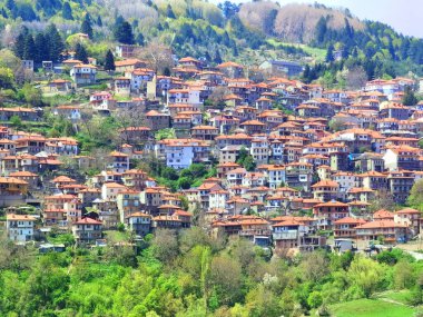 Metsovo City Turizm Dağı Kuzey Batı Yunanistan 'da bahar mevsiminde