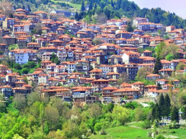 Metsovo City Turizm Dağı Kuzey Batı Yunanistan 'da bahar mevsiminde