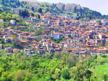 Metsovo City Turizm Dağı Kuzey Batı Yunanistan 'da bahar mevsiminde