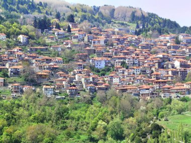 Metsovo City Turizm Dağı Kuzey Batı Yunanistan 'da bahar mevsiminde