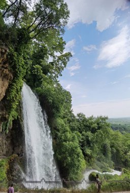 Yunan yeşil platanus ağaçları arasında bahar mevsiminde ödessa şelaleleri