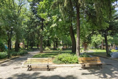 Yunan yeşil platanus ağaçları arasında bahar mevsiminde ödessa şelaleleri