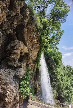 Yunan yeşil platanus ağaçları arasında bahar mevsiminde ödessa şelaleleri