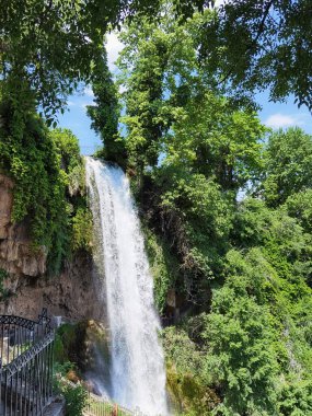 Yunan yeşil platanus ağaçları arasında bahar mevsiminde ödessa şelaleleri