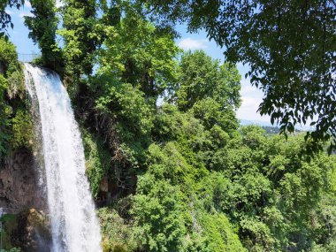 Yunan yeşil platanus ağaçları arasında bahar mevsiminde ödessa şelaleleri