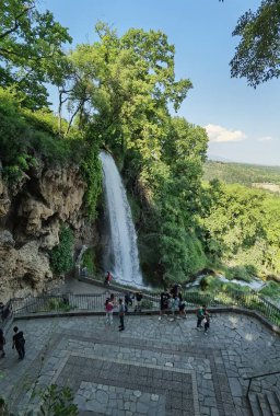 Yunan yeşil platanus ağaçları arasında bahar mevsiminde ödessa şelaleleri