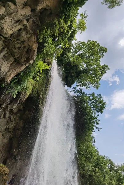 Yunan yeşil platanus ağaçları arasında bahar mevsiminde ödessa şelaleleri