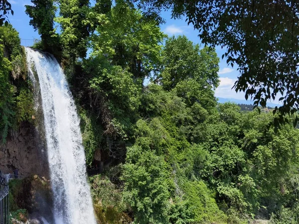 Yunan yeşil platanus ağaçları arasında bahar mevsiminde ödessa şelaleleri