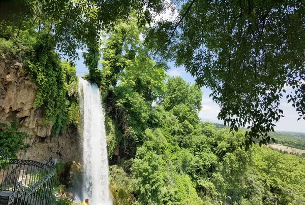Yunan yeşil platanus ağaçları arasında bahar mevsiminde ödessa şelaleleri