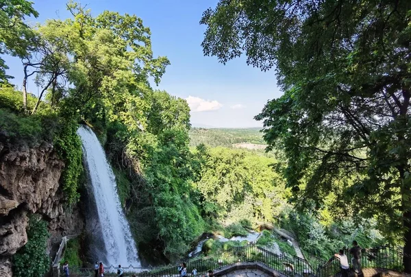 Yunan yeşil platanus ağaçları arasında bahar mevsiminde ödessa şelaleleri