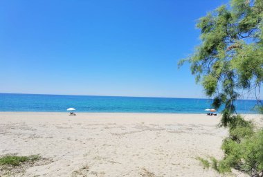 Yaz tatilinde, Preveza Monolithi 'deki plaj ağaçlarında güneş tamariskleri.