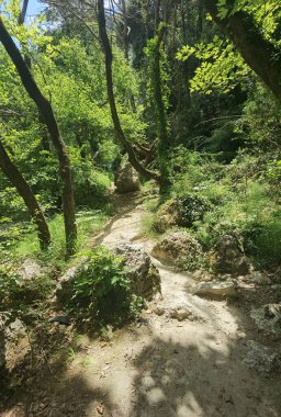 acheron nehir yolu boyunca nehir kıyısında gliki terpsotia mükemmellik Yunan alternatif varış noktası yazın