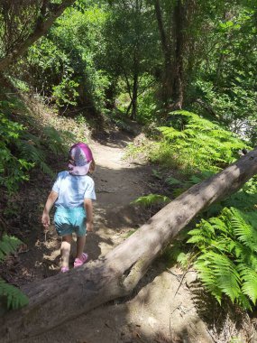 acheron nehir yolu boyunca nehir kıyısında gliki terpsotia mükemmellik Yunan alternatif varış noktası yazın
