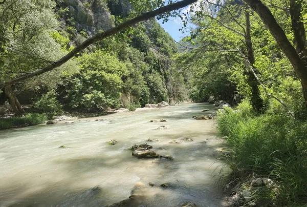 Caminho Rio Acheron Longo Rio Aldeia Gliki Therpsotia Perfecture Greece — Fotografia de Stock