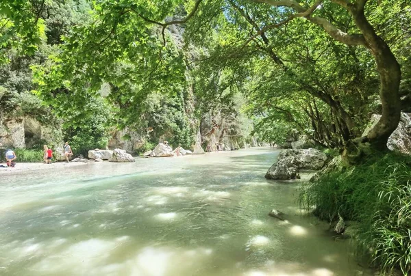 Caminho Rio Acheron Longo Rio Aldeia Gliki Therpsotia Perfecture Greece — Fotografia de Stock