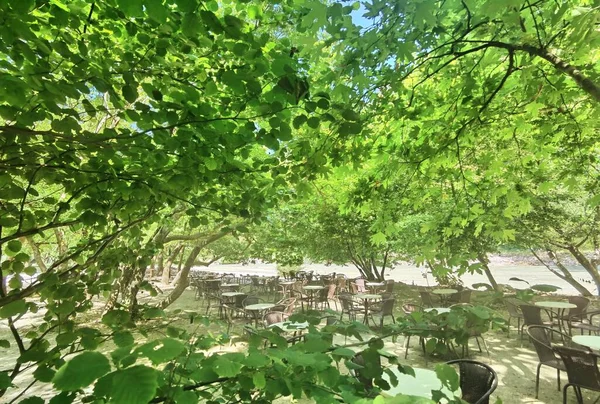 Acheron River Greece Restaurant Cafe River Summer Season Food Drink — стоковое фото