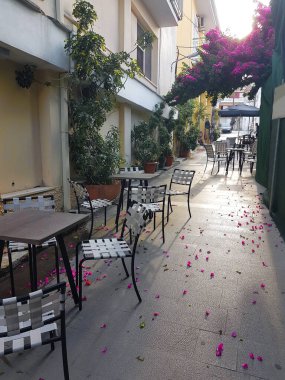 Yaz öğleden sonra Preveza City 'de Yunan sokakları, restoranlar, tavernalar. 