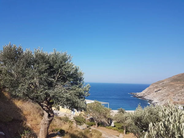 Zorkos Beach Andros Island Greece North Side Island Sunny Summer — 图库照片