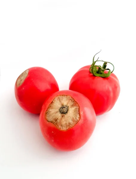 Tomatoes Ripe Red Rotten Bottom Laack Calcium — Stok fotoğraf