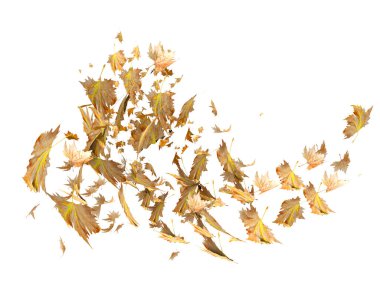 leaf leaves falling in autumn season isolated for seasonal background many - 3d rendering