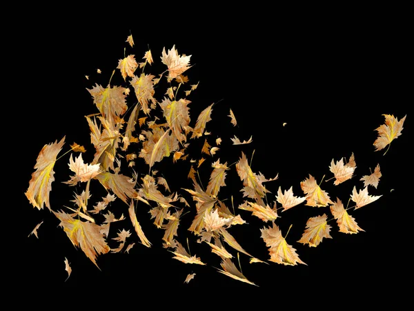 leaf leaves falling in autumn season isolated for seasonal background many - 3d rendering