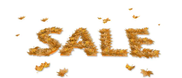 Sale Sales Text Word Dry Autumn Leaves Fallen Flying Isolated — Stock Photo, Image