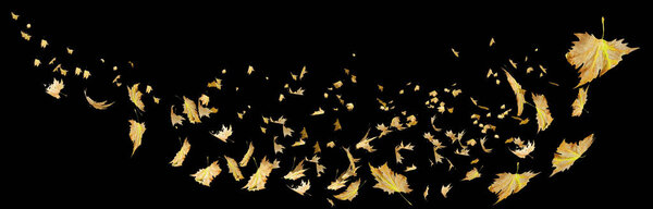  leaves autumn air wind isolated dry for background flying falling fall flight red  yellow - 3d rendering