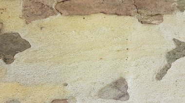 Arkaplan için gövde parçaları ve platanus ağacı kabuğu