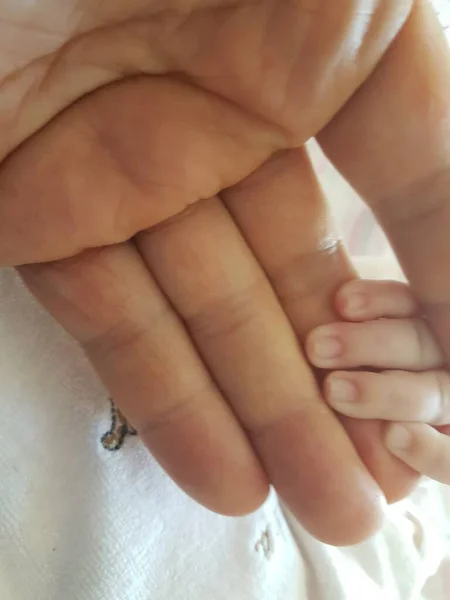 Bebê Pai Mão Mãos Segurando Uns Aos Outros Recém Nascido — Fotografia de Stock