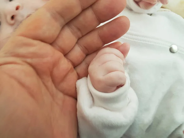 Ребенок Отец Держат Друг Друга Руки Новорожденные — стоковое фото