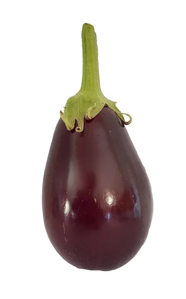 Eggplant Eggplant Isolated Fresh Ripe Food Vegetable Background — Stock Photo, Image