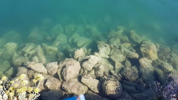 Mar Azul Transparente Rocas Fisthes Erizos Vista Superior Preveza Greece — Foto de Stock