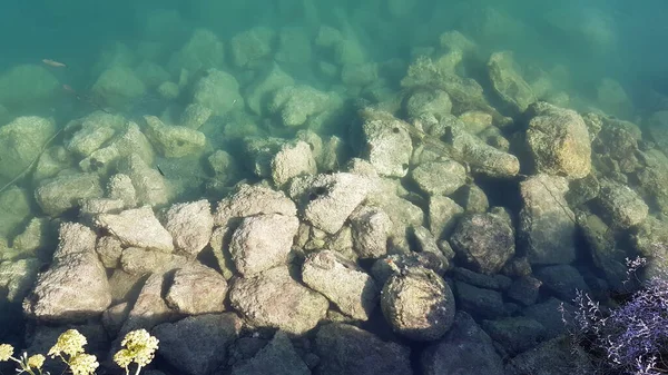 Mar Azul Transparente Rocas Fisthes Erizos Vista Superior Preveza Greece — Foto de Stock