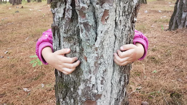子供たちは木の幹の持続可能性愛の保護を — ストック写真